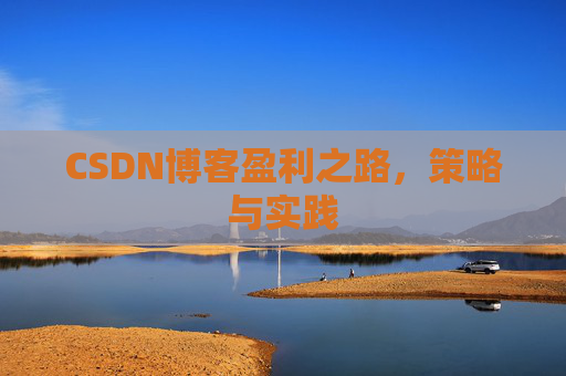 CSDN博客盈利之路，策略与实践